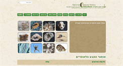 Desktop Screenshot of nnhc.huji.ac.il